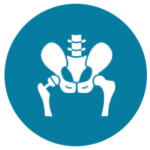 Hip Replacement