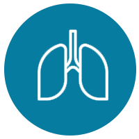 Bone Marrow Transplant